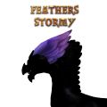 FeathersStormy.jpg